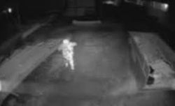 Collection of CONSTRUCTION SITE RAIDS: BUILDERS RESORT TO SLEEPING ON-SITE in a gallery layout