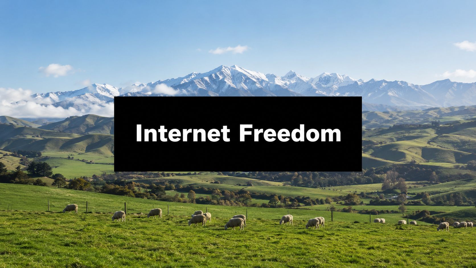 Collection of Freedom Internet NZ: Power Your Business with Starlink in a gallery layout