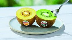 Collection of kiwi made products in a gallery layout