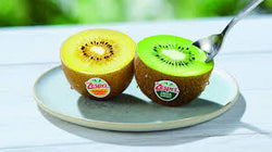 Collection of Kiwis distributing Kiwi made products and saving the Kiwi in a gallery layout