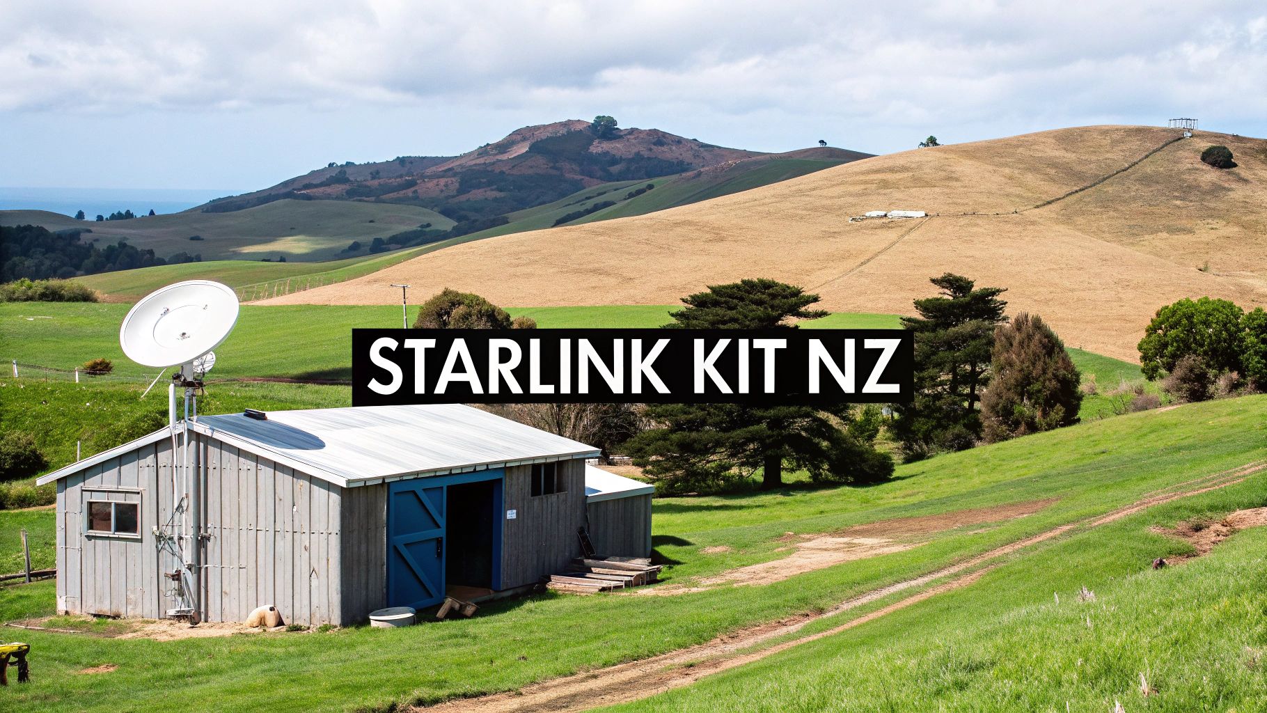 Collection of starlink in New Zealand in a gallery layout