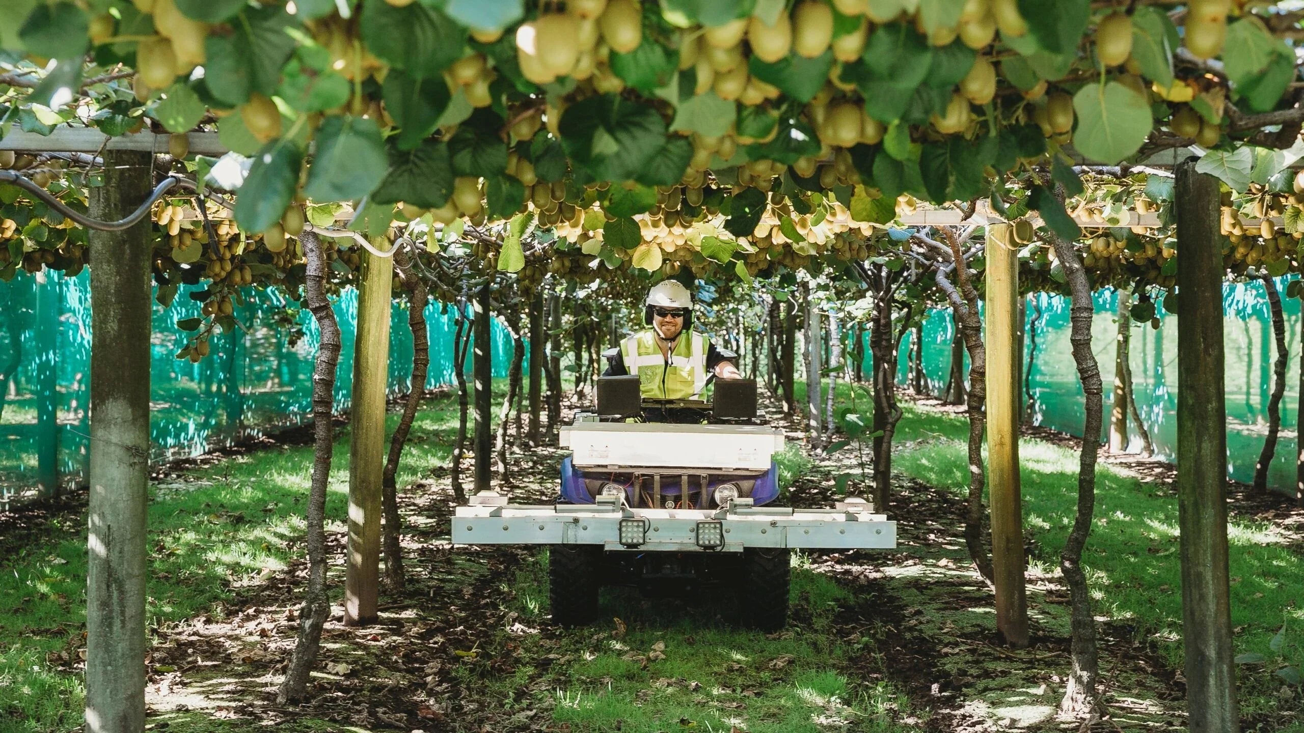 Collection of horticulture communication solutions nz in a gallery layout