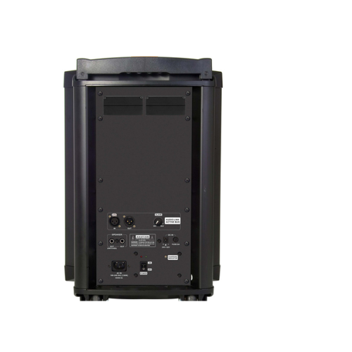 Collection of Chiayo C1000-SLAVE Active Slave Speaker for Challenger 1000-D Back in a gallery layout