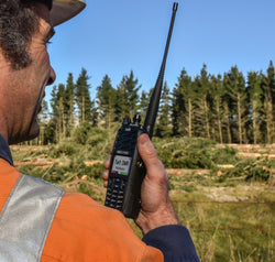 Forestry Industry