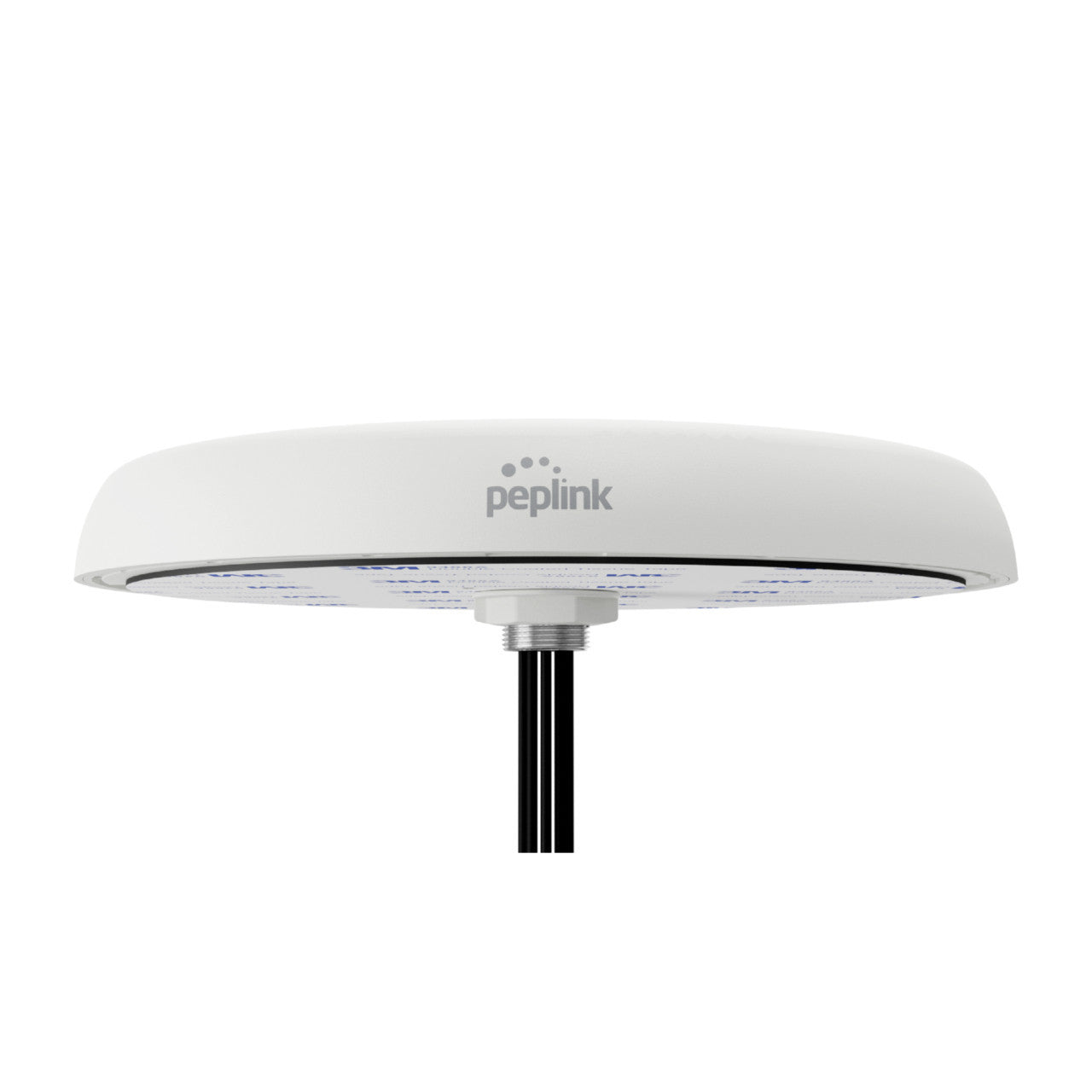 Collection of Peplink Mobility 82G 8x8 MIMO antenna, product view in a gallery layout